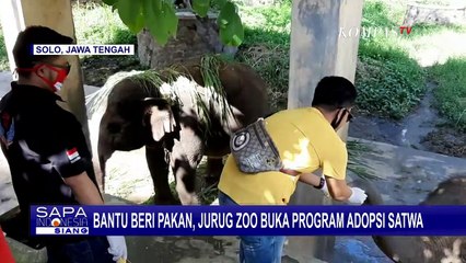 Jurug Zoo Jateng Buka Program Adopsi Satwa di Tengah Pandemi