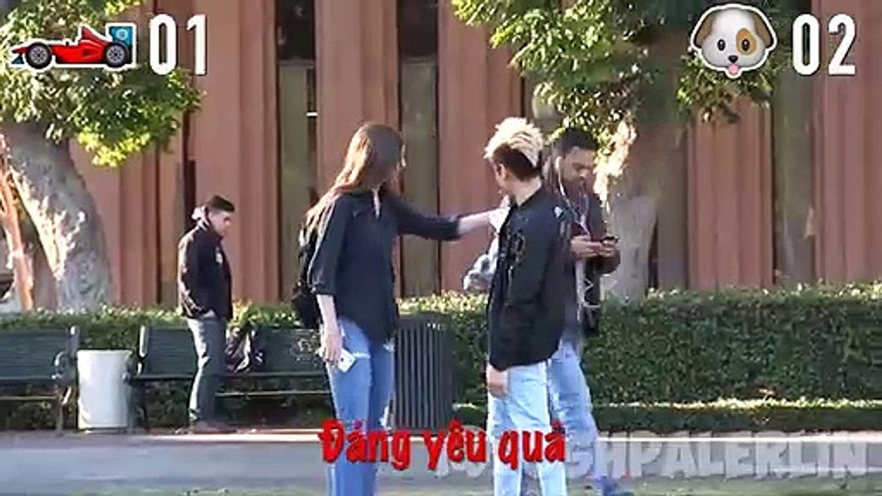 Cuộc chiến bất ngờ, siêu xe thua cún nhỏ