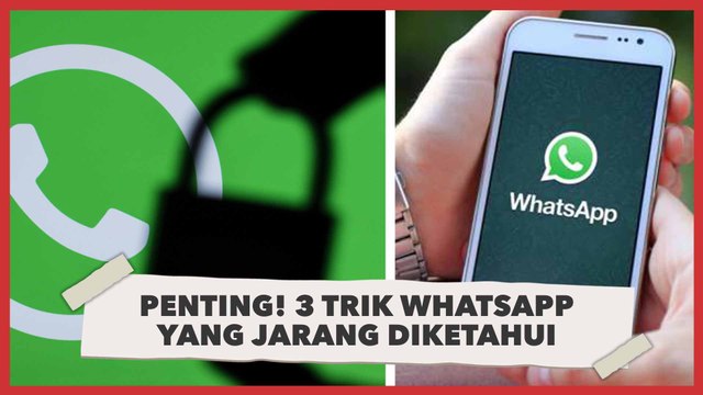 Penting! 3 Trik WhatsApp yang Jarang Diketahui