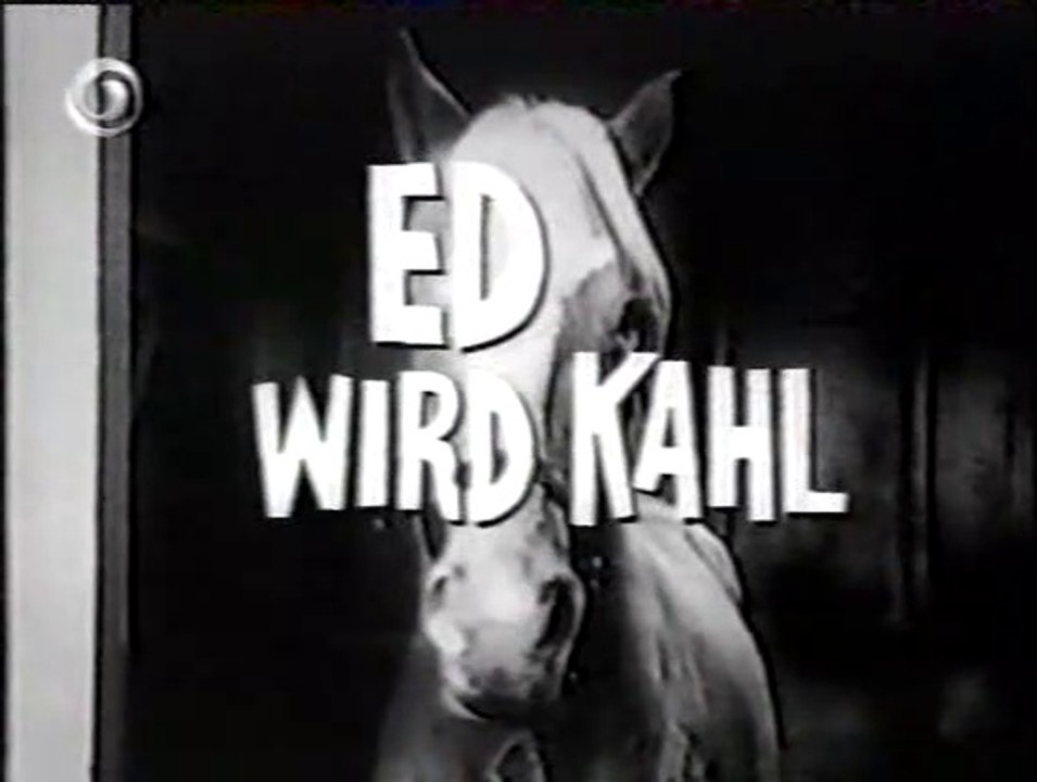 Mr. Ed 047. Ed wird kahl video Dailymotion