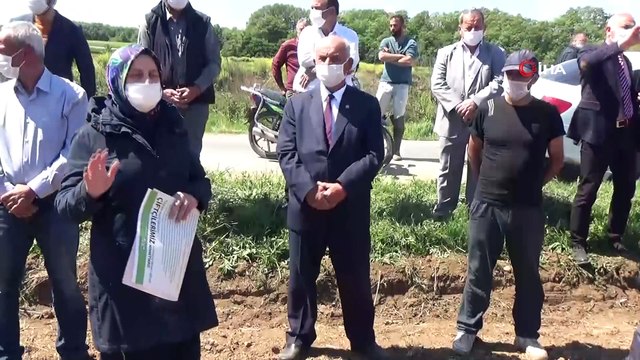 Bafra Ovası'nda damlama sulama çeltik ekimi