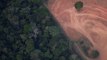 La déforestation en Amazonie a atteint un nouveau record depuis janvier au Brésil