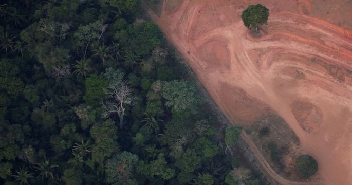 La déforestation en Amazonie a atteint un nouveau record depuis janvier au Brésil