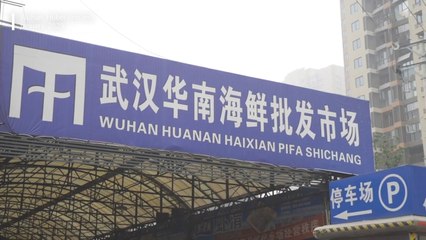 wuhan reported first covid 19 | வுஹானில் மீண்டும் நுழைந்த கொரோனா... ஒருவருக்கு பாதிப்பு