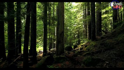 Possible Do is Life ll Live Iss Succsess ll Motivational Video ll RPR