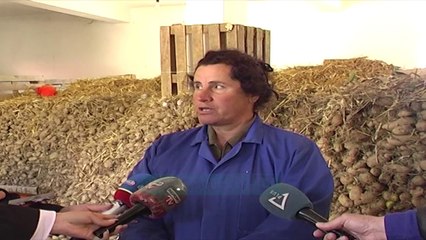 Patatja e Korçës mbetet pa shitur - Vizion Plus