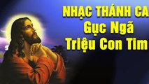 Lk Nhạc Thánh Ca Hay Nhất 2019 - Nhạc Thánh ca GỤC NGÃ HÀNG TRIỆU CON TIM