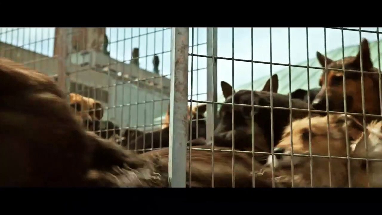 Analconda szczeka i uwalnia kolegów z klatek xD