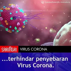 Lima Panduan World Health Organization (WHO) Untuk Cegah Penyebaran Virus Corona