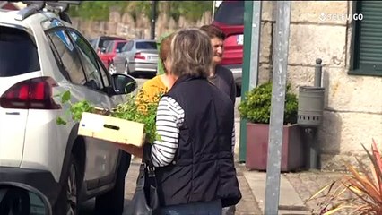 08-05-2020 INFORMATIVO