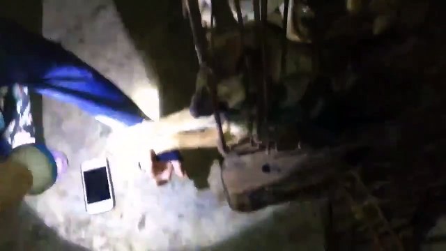 Rơi nước mắt hình ảnh chú chó sắp bị giết cầu cứu con người