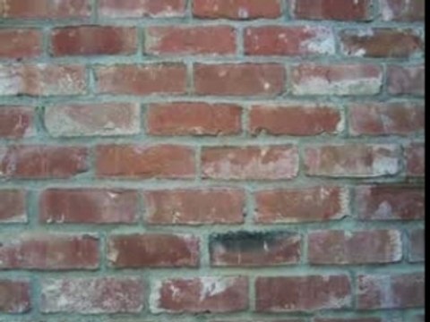 Groupe Scouts 1ere Hoenheim Annee 2000