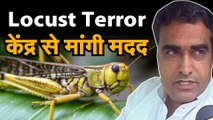 locust attack|| टिड्डी पर नियंत्रण के लिए केंद्र से मांगी मदद