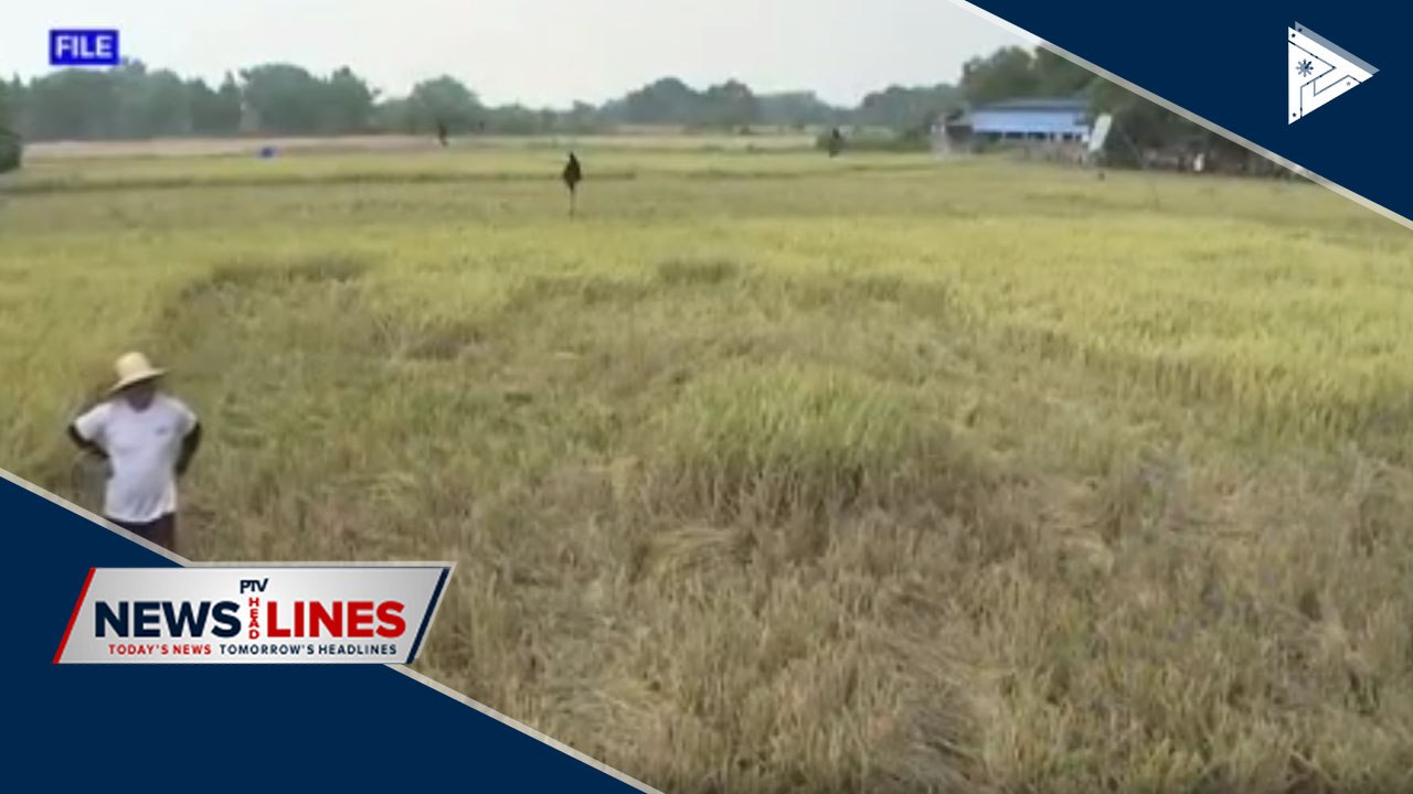 Agri-fishery exports up by 12% in Q1 2020