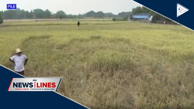 Agri-fishery exports up by 12% in Q1 2020