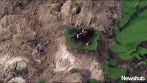 Những chú bò may mắn sau trận động đất 7,5 độ Richter tại New Zealand