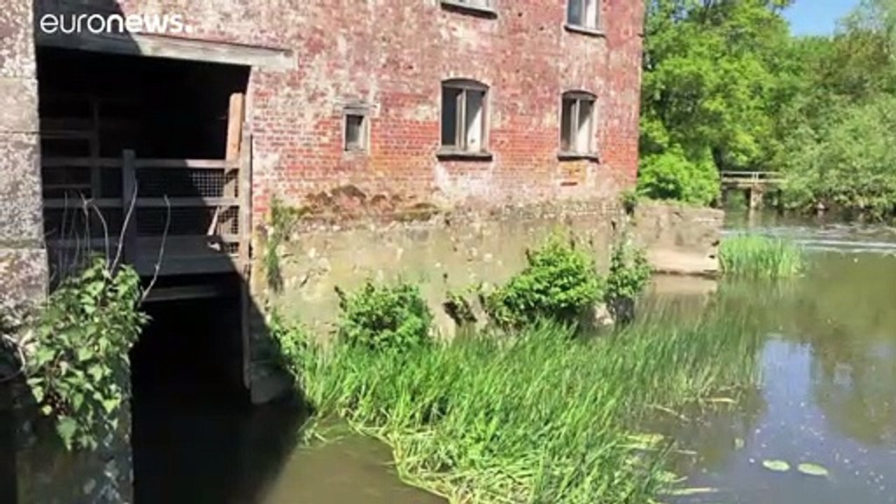 Coronakrise gibt alter Mühle neues Leben