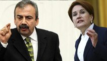 HDP'li Önder, Meral Akşener'in 