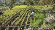 Le Pakistan emploie 63000 personnes pour aider à planter 10 milliards d'arbres et lutter contre le chômage massif