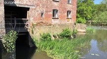 Ces moulins historiques qui reprennent du service