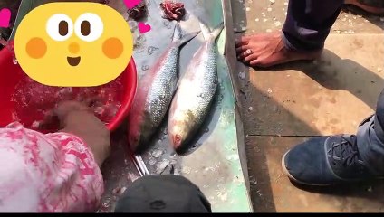 Mawa Road tour (daylong Tour)