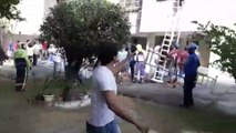 Vídeo mostra trabalhadores usando escadas para ajudar moradores e cães durante incêndio em Itapuã