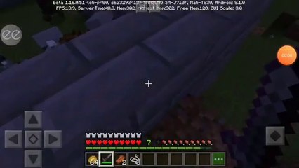 Io vs Pillager - video ignorante