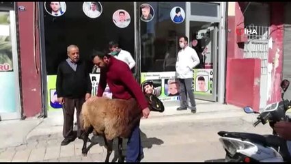 Berberler adak keserek iş yerlerini açtı