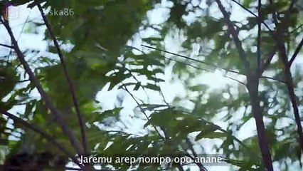 BALUNGAN KERE VERSI REGGAE