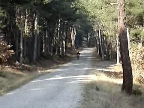 mbk x-limit replica ktm kité mk alu race