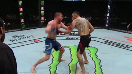 Video herunterladen: Justin Gaethje & Tony Ferguson Octagon- UFC 249