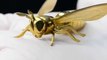 It's made from nuts and bolts wasp, bee entertainment