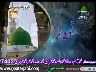Huzoor Meri to Sari Bahar App se Hai By | Owais Raza Qadri Sahab | Beautiful Naat