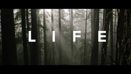 DON'T WASTE YOUR LIFE - Powerful Motivational Speech Video