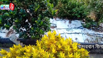 Nilacol Bandorban Is a Beautiful Place of Bangladesh || Tourist Spot Of Bangladesh