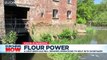 Coronavirus: 1,000-year-old mill brought back to life after lockdown baking sparks flour shortages
