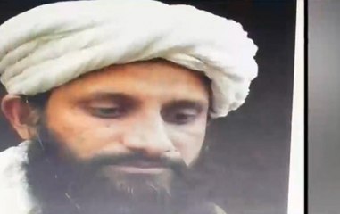 Al Qaeda South Asia Chief Asim Omar From UP' Sambhal killed In Helmand