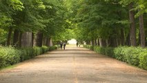 Patrimonio Nacional ha reabierto este lunes los Jardines de Aranjuez