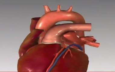 World Heart Day: Here's Why India Has Become Diabetes Capital Of World