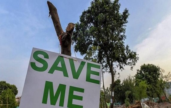 Bollywood Celebs Protest Against Cutting Of Trees In Aarey Colony