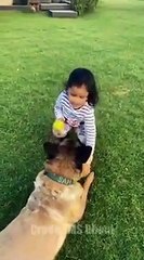 MS Dhoni is back in Yellow with White Beard! _ LOCKDOWN Masti with Daughter Ziva Dhoni