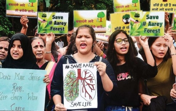 Aarey: No More Trees To Be Cut, Supreme Court Tells Maharashtra Govt