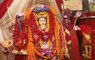 Navratri Eight Day Celebrations: Devotees Worship Mahagauri Devi