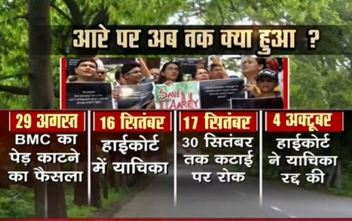 Mumbai Aarey Forest Update: Here's Timeline Of Court Proceedings