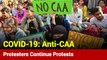 Anti-CAA Protesters Continue Protests Despite COVID-19 Outbreak