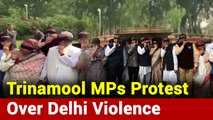 Trinamool MPs Protest Inside Parliament Premises Over Delhi Violence