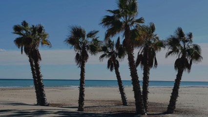 This Beach Is Using a New Reservation System to Assign Spots so Visitors Can Keep Their Di