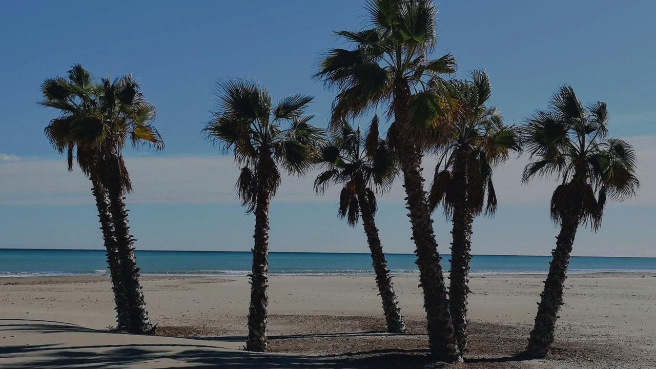 This Beach Is Using a New Reservation System to Assign Spots so Visitors Can Keep Their Di