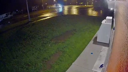 Um camião carregado de vacas capota e projeta-as para longe