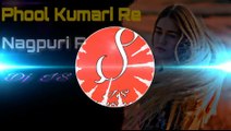 Phol Kumari Re Nagpuri Dj Song | Dj IS SNG | New Nagpuri Dj Song 2019 | Sadhri Song 2019 | MixDjStar Phool Kumari Re ( Nagpuri Remix ) Dj IS SNG